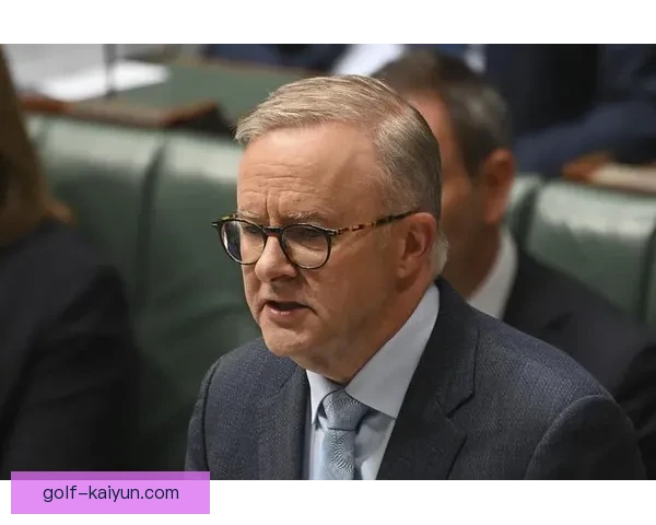 阿尔巴忠诚代表