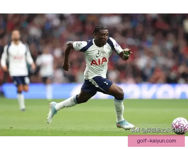 英超热刺转会窗表现稳健，球队补强备受关注